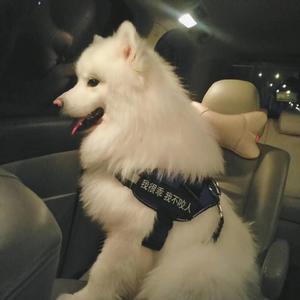 美女跟男生搞鸡视频
