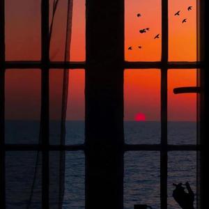 美女跟男生搞鸡视频
